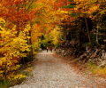 BOSQUES DE ARAGÓN EN OTOÑO (ORDESA, MONTE PERDIDO)