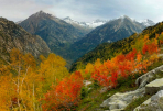 Bosques de Aragón en otoño (Ordesa, Monte Perdido)