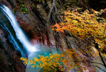 Bosques de Aragón en otoño (Ordesa, Monte Perdido)