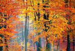 Bosques de Aragón en otoño (Ordesa, Monte Perdido)