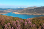 Camino Sanabrés