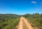 Camino Sanabrés