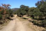 Parque natural Sierra de Cazorla: Jaén, Úbeda y Baeza