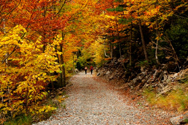 BOSQUES DE ARAGÓN EN OTOÑO (ORDESA, MONTE PERDIDO)