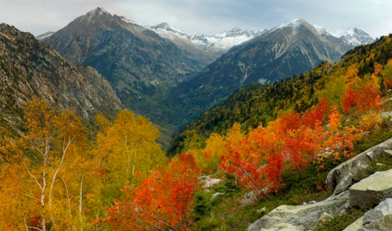 Bosques de Aragón en otoño (Ordesa, Monte Perdido)