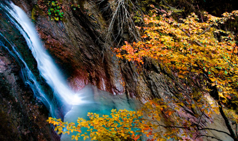 Bosques de Aragón en otoño (Ordesa, Monte Perdido)