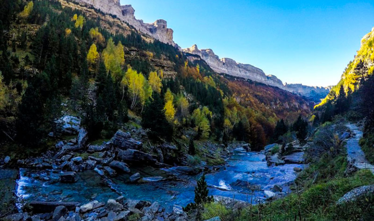 Bosques de Aragón en otoño (Ordesa, Monte Perdido)