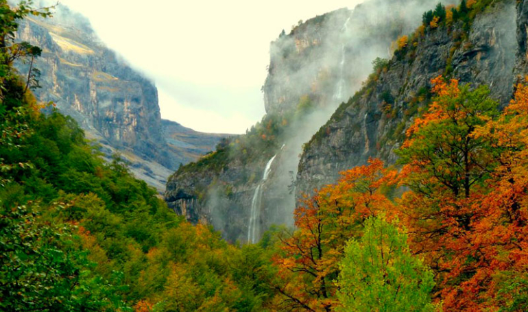 Bosques de Aragón en otoño (Ordesa, Monte Perdido)