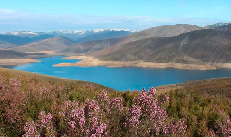 Camino Sanabrés