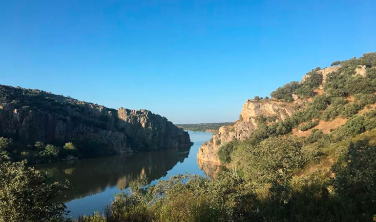 Camino Sanabrés