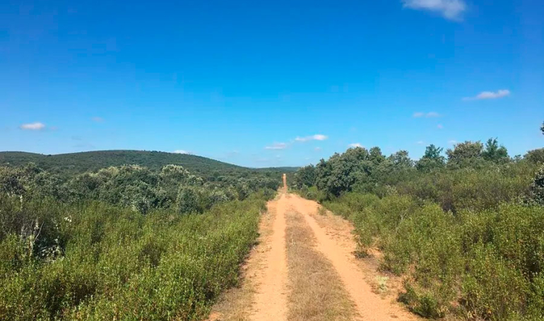 Camino Sanabrés