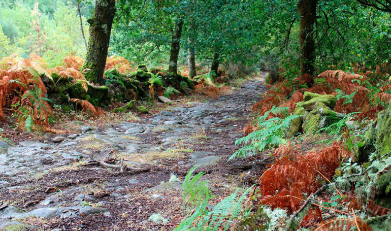 Camino Sanabrés