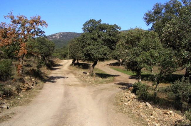 Parque natural Sierra de Cazorla: Jaén, Úbeda y Baeza