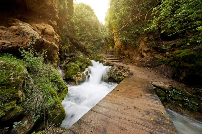 Parque natural Sierra de Cazorla: Jaén, Úbeda y Baeza