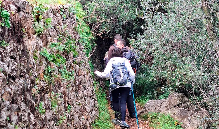 Momento de convivencia del grupo en SÃ³ller.