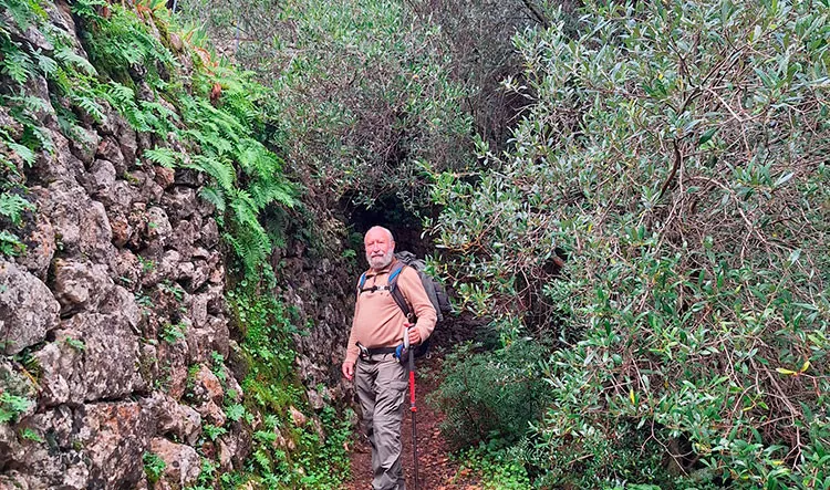Paisaje natural en los alrededores de SÃ³ller.