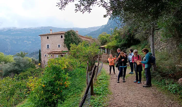 Vistas panorÃ¡micas del valle de SÃ³ller.