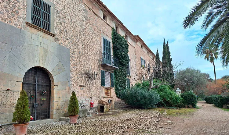 Sendero entre olivos camino de SÃ³ller.